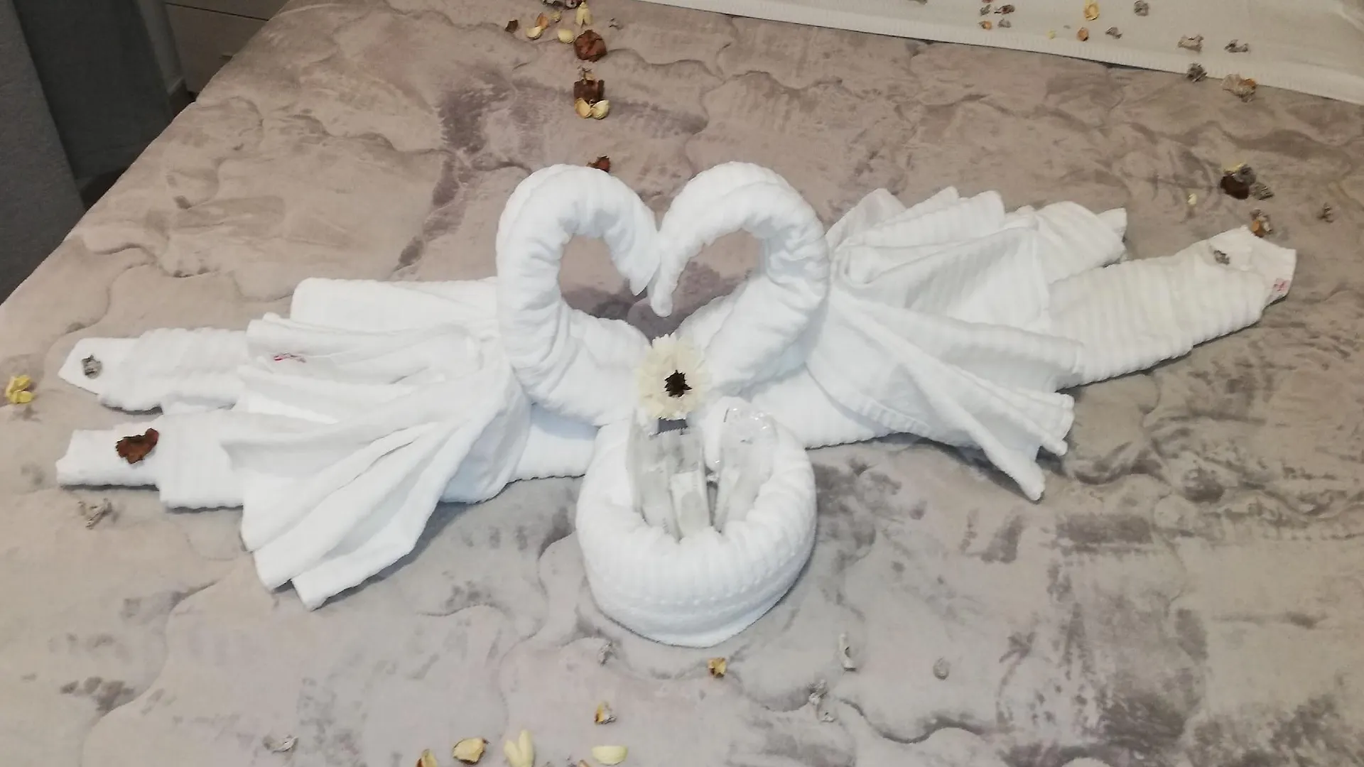 فندق Garden'S Elide روما بيت ضيافة